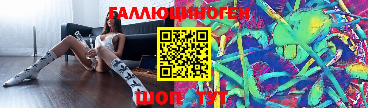 Псилоцибиновые грибы мицелий Черняховск