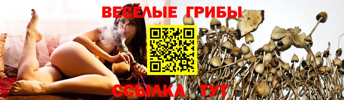 Псилоцибиновые грибы ЛСД  Галлюциногенные грибы Psilocybine cubensis  Вход с VPN  как найти закладки  Черняховск 