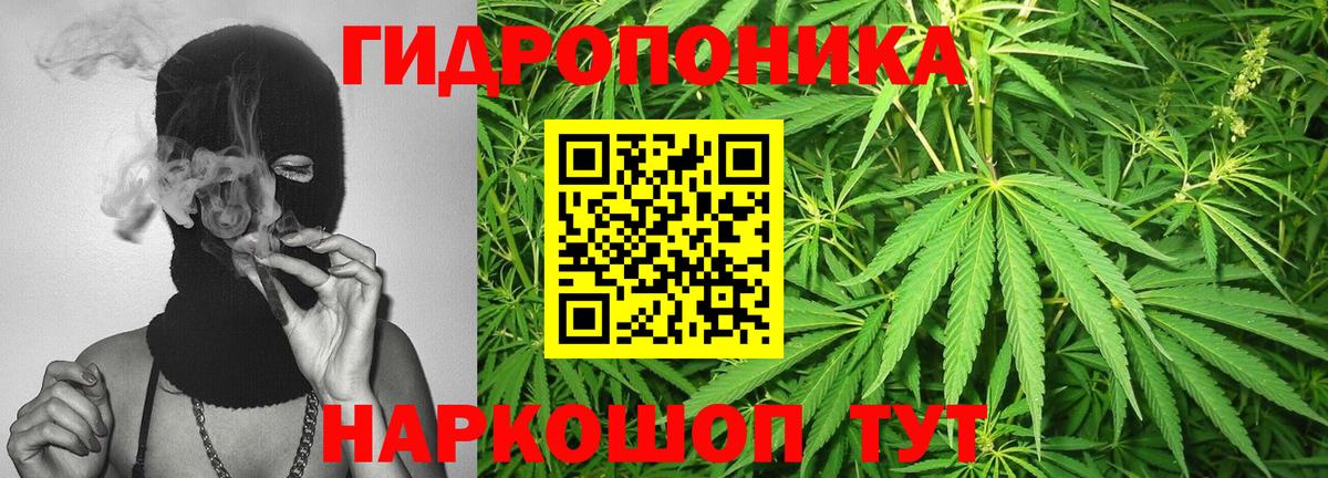 Черняховск  Каннабис конопля  Каннабис AK-47  Бошки Шишки Bruce Banner  Вход с VPN 